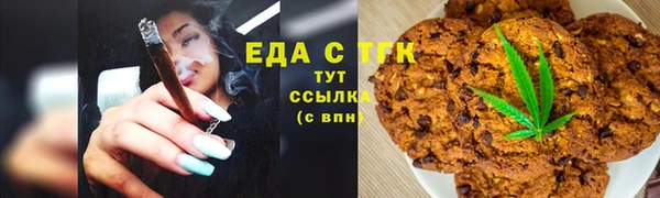 гидра Богородицк