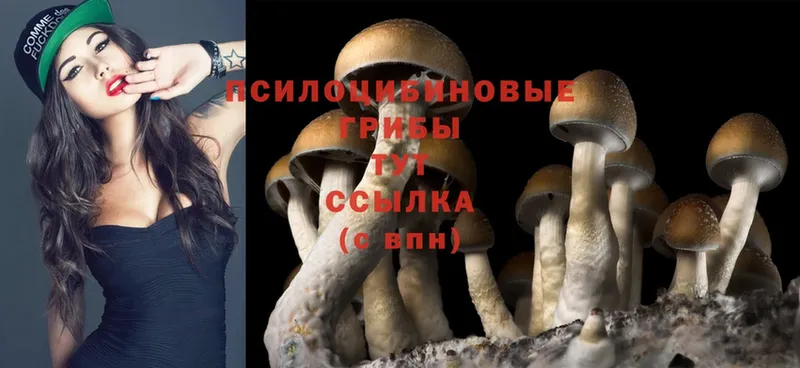 купить закладку  Лянтор  мориарти телеграм  Галлюциногенные грибы Cubensis 